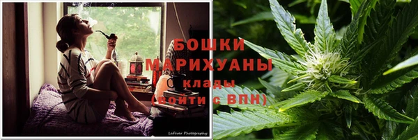 эйфоретик Арсеньев