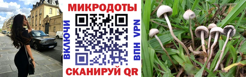 купить наркотик МЕГА сайт Псилоцибиновые грибы Cubensis Партизанск