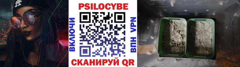 Галлюциногенные грибы мицелий Партизанск